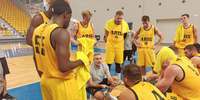 aris-tessera-ban-fiba.jpg