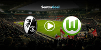 freiburg-wolfsburg-sentra.jpg