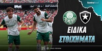 palmeiras-mpotafogko-eidika-stoiximata.jpg