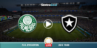 palmeiras-mpotafogko-kanali-live-streaming.jpg