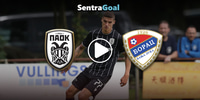 paok-borac-sentra.jpg