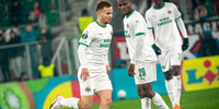 Rapid Wien.jpg
