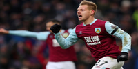 vydra.jpg