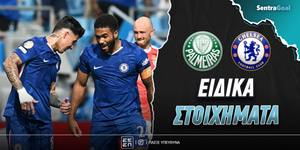 palmeiras-tselsi-eidika-stoiximata.jpg