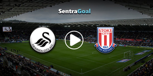 swansea-stoke.jpg