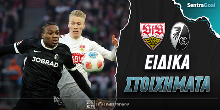 stoytgkardi-fraimpoyrgk-eidika-stoiximata.jpg