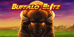 Buffalo Blitz