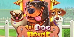 The Dog House The Dog House